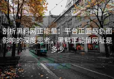 剖析黑料网正能量：平台正面与负面影响的深度思考，黑料正能量网址是多少