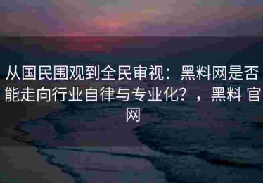 从国民围观到全民审视：黑料网是否能走向行业自律与专业化？，黑料 官网