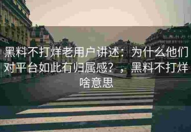 黑料不打烊老用户讲述：为什么他们对平台如此有归属感？，黑料不打烊啥意思