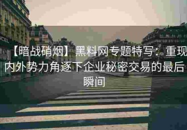 【暗战硝烟】黑料网专题特写：重现内外势力角逐下企业秘密交易的最后瞬间