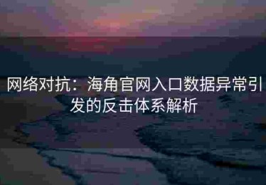 网络对抗：海角官网入口数据异常引发的反击体系解析