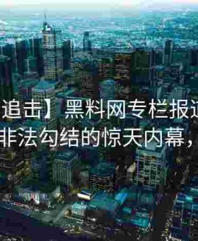 【隐秘追击】黑料网专栏报道：隐蔽机构与非法勾结的惊天内幕，隐秘in
